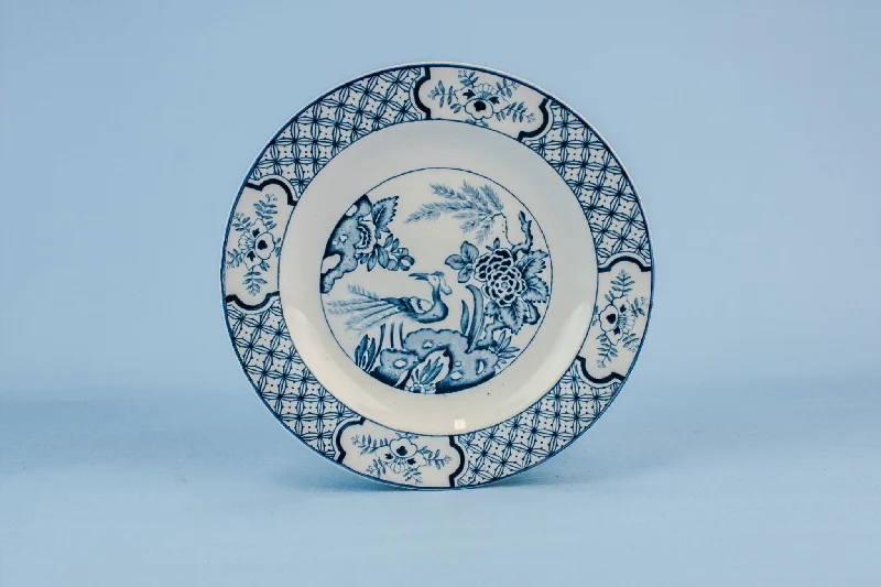 eco-friendly dinnerware for picnics-2 blue and white plates