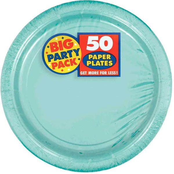 reusable dinner plates for families-PAPER PLATE R.EGG 9 inches inches 50CT