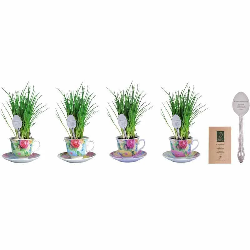 funny mugs with quirky sayings-Chives Growing Set in Tea Cup