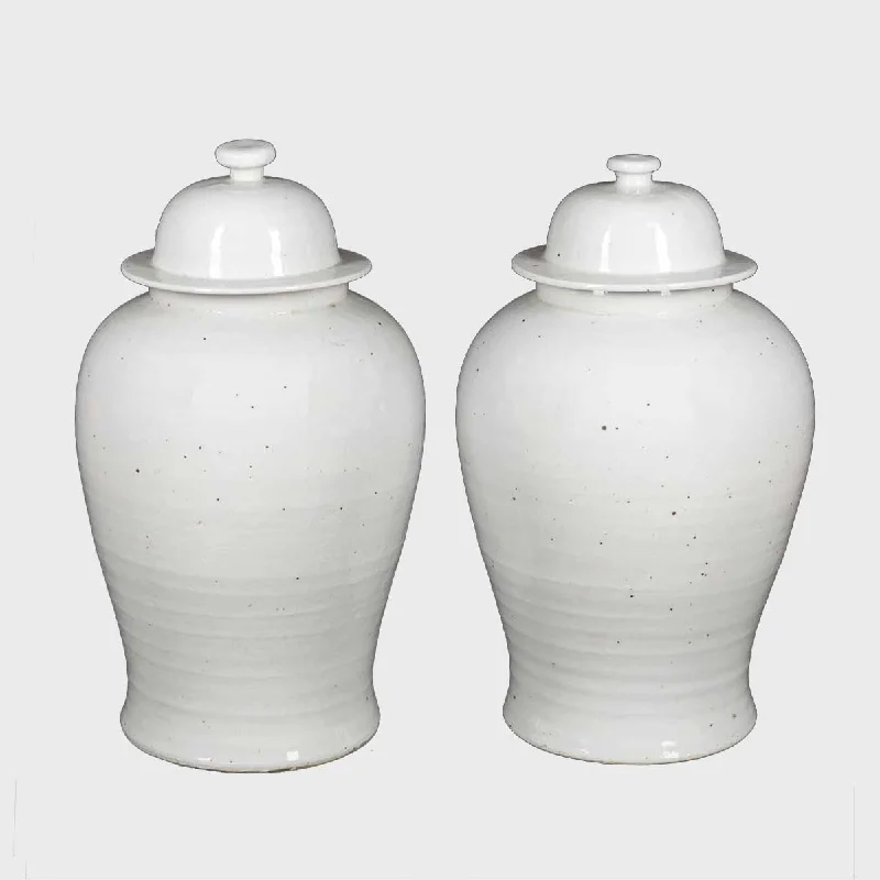 Hand-painted flower vases for modern weddings -Pair of two white Chinese Ceramic Vases with Lid