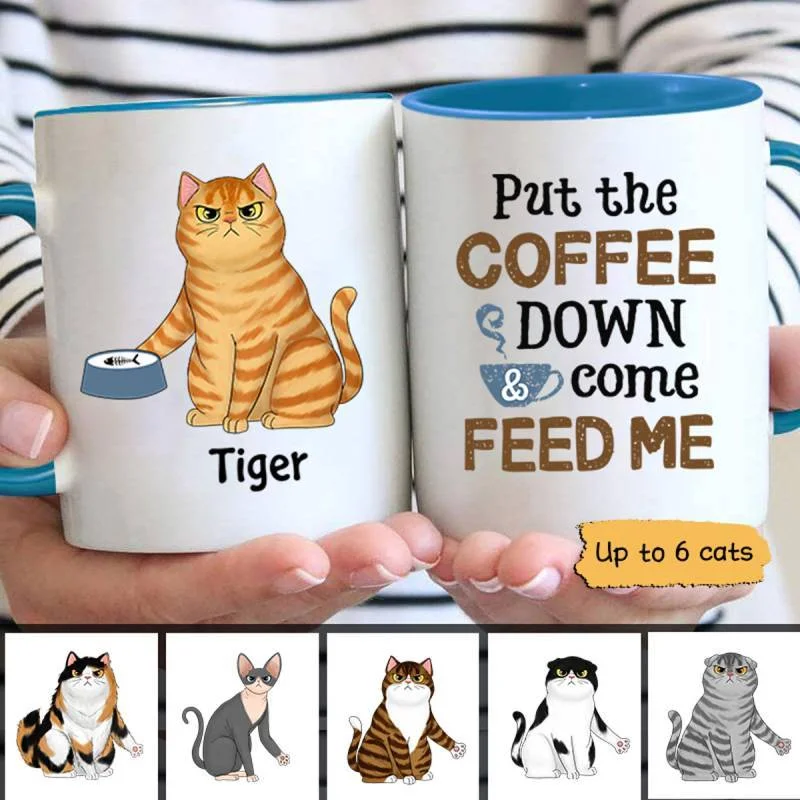 cute travel mugs with sayings-Put Coffee Down & Feed Us Fluffy Cats Personalized Coffee Mug