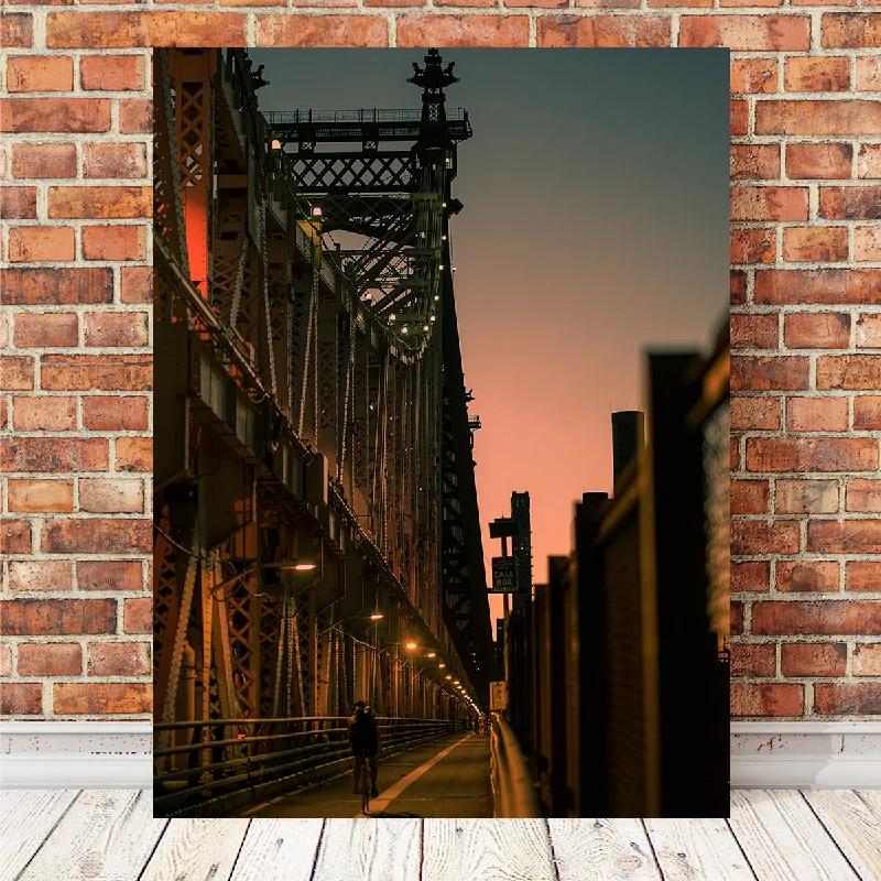 tropical art prints for bedroom-Biking the Queensboro Bridge