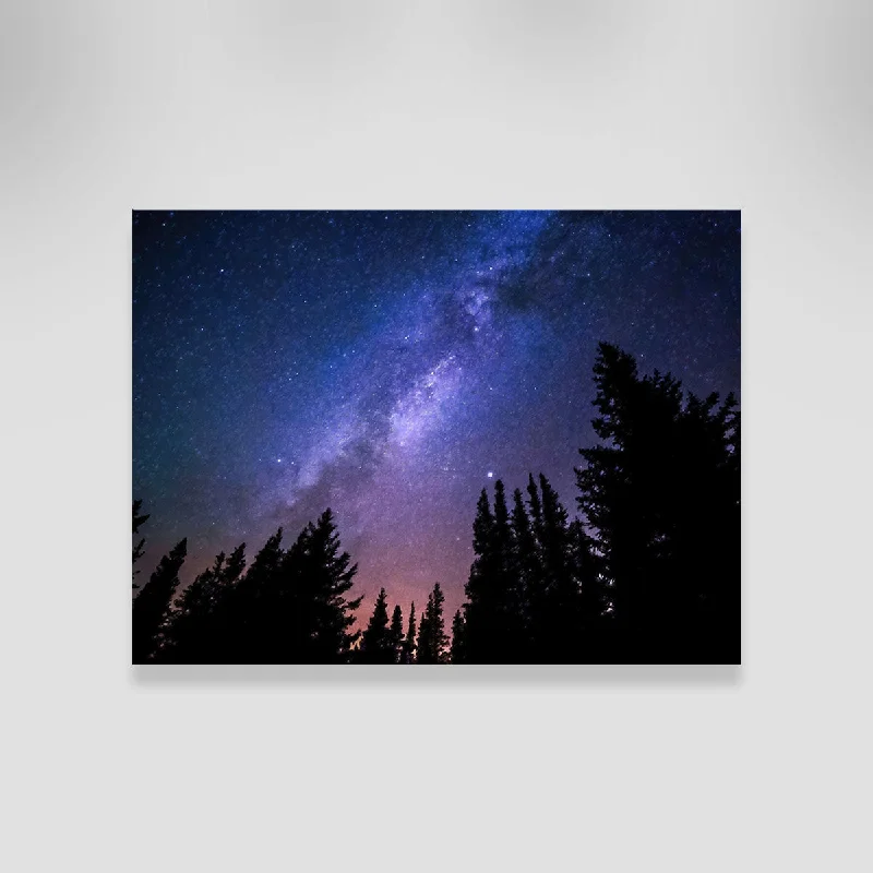 city landscape canvas art prints-Conifers Reaching To Milky Way