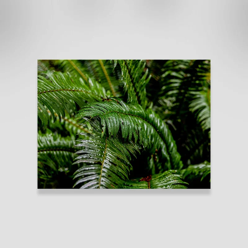 botanical canvas art for office-Fern Leaves