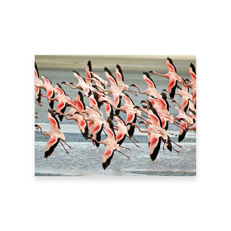 retro canvas wall decor-Flamingo's in Tanzania