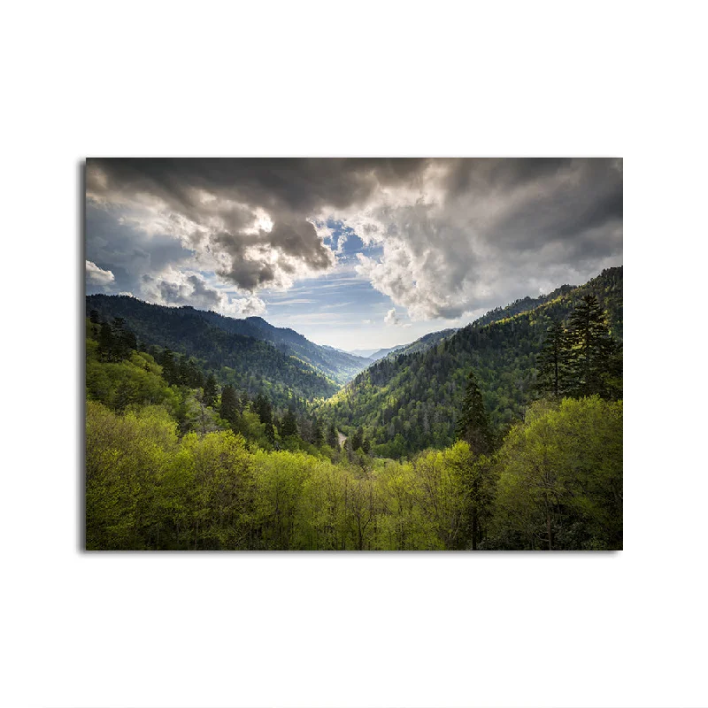 botanical watercolor canvas prints-Great Smoky Mountains National Park