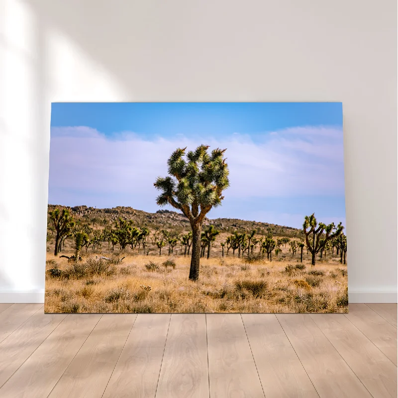 large nature canvas art-Joshua Tree