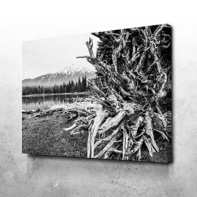 coastal art for wall-Mt. Bachelor - Sparks Lake