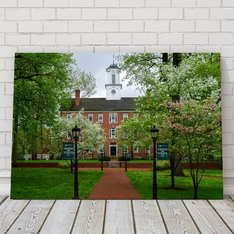 oversized pop art wall paintings-Ohio University