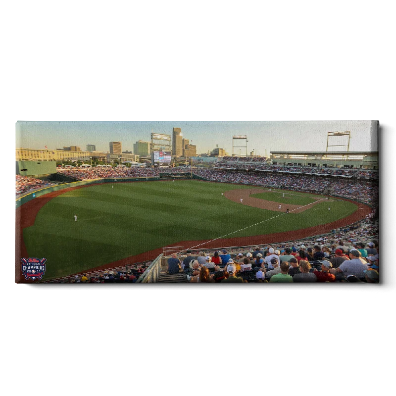 modern tropical canvas art for wall-Ole Miss Rebels - Charles Schwab Aerial Panoramic