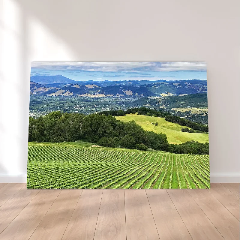 large modern art prints for bedroom-Rolling Hills and Vineyards of Sonoma County