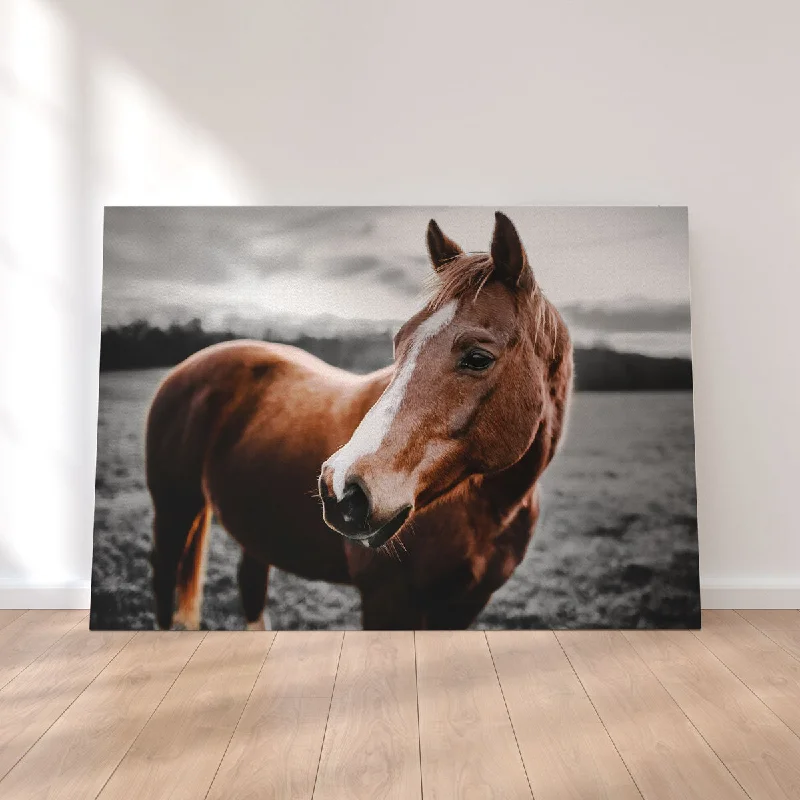 large abstract nature wall decor-Shining Horse