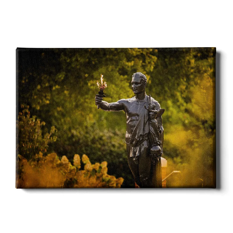 playful tropical canvas wall art-Tennessee Volunteers - Fall Torchbearer