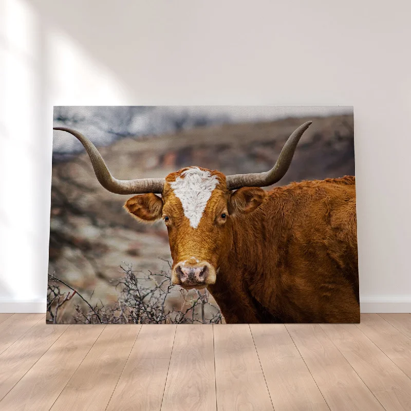 contemporary geometric photography art-Texas Longhorn